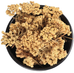 Civan Perçemi Kurusu 40 Gram