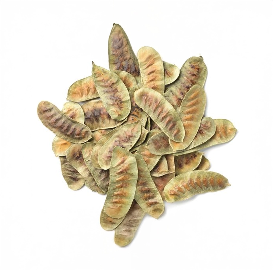 Açlık Otu 50 Gr